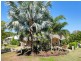 5 Macarthur Close, Palm Cove QLD 4879