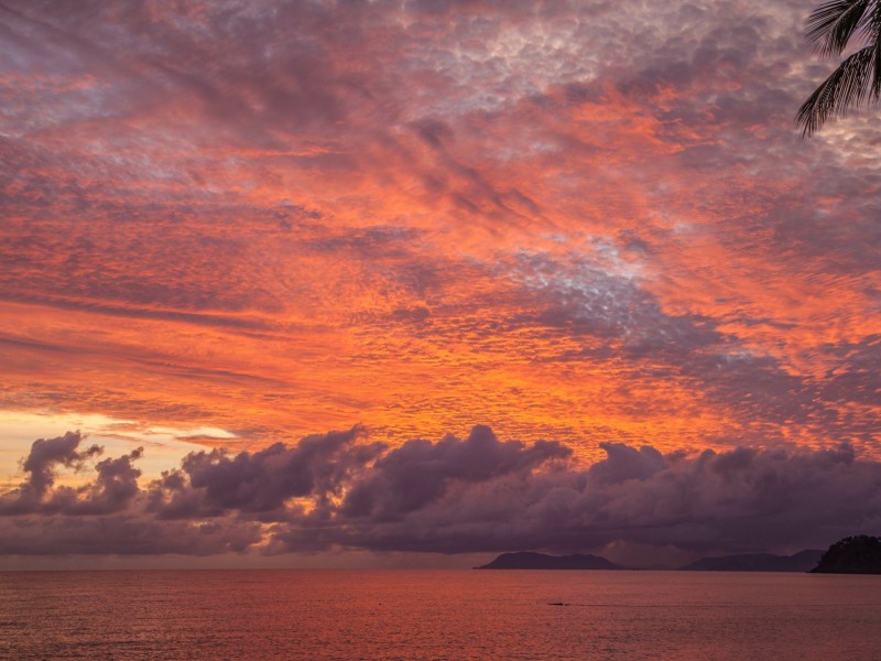 1/81-85 Cedar Road, Palm Cove QLD 4879