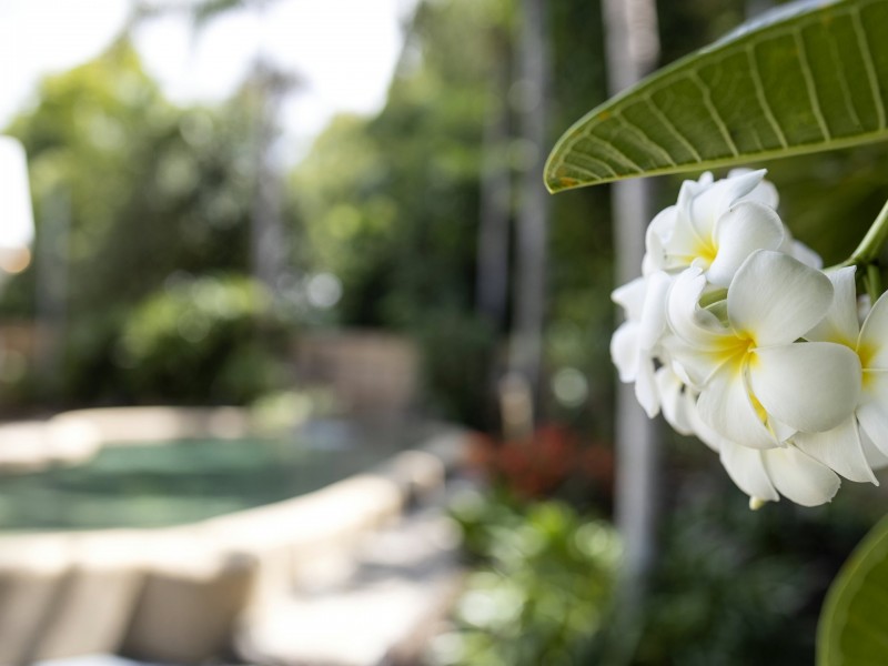 2 Ilse Close, Clifton Beach QLD 4879