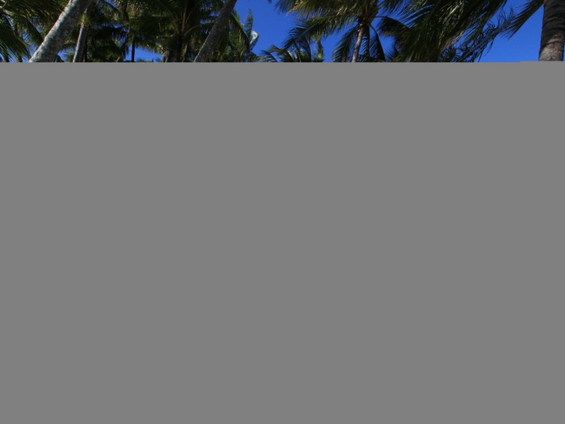 5/81-85 Cedar Road, Palm Cove QLD 4879