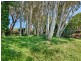 17 Arlington Esplanade, Clifton Beach QLD 4879