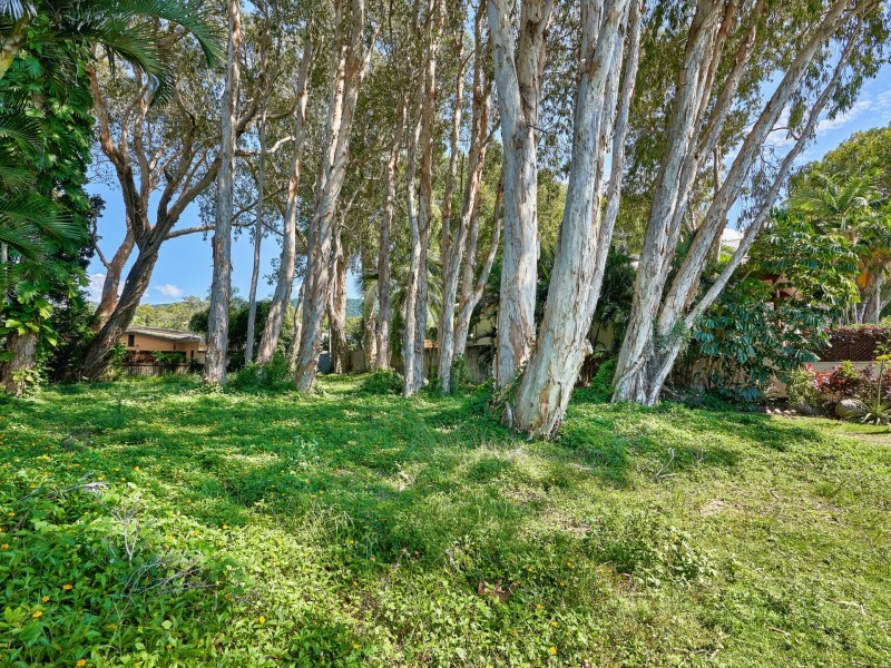 17 Arlington Esplanade, Clifton Beach QLD 4879