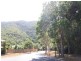 5 Macarthur Close, Palm Cove QLD 4879