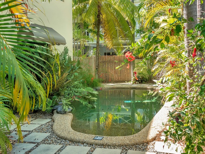 Unit 2/25 Amphora Street, Palm Cove QLD 4879