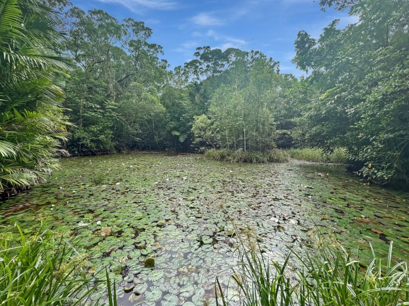 25 Ronald Road, Forest Creek QLD 4873