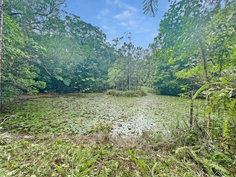 25 Ronald Road, Forest Creek QLD 4873