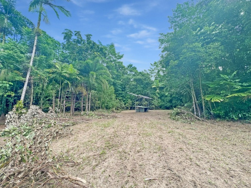 25 Ronald Road, Forest Creek QLD 4873