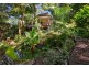 1781 Captain Cook Highway, Clifton Beach QLD 4879