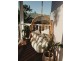 24 Mornington Street, Kewarra Beach QLD 4879