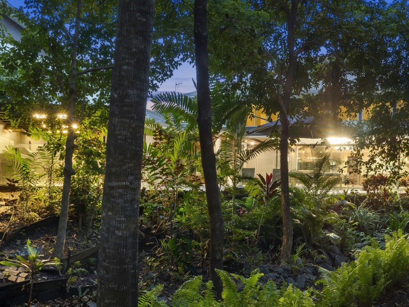 8 Lillian Road, Palm Cove QLD 4879