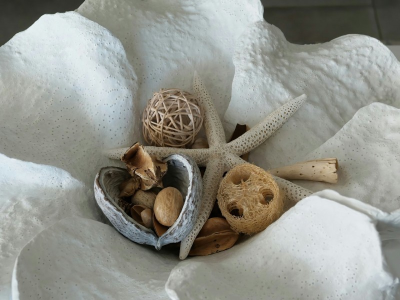 25 Freshwater Avenue, Palm Cove QLD 4879