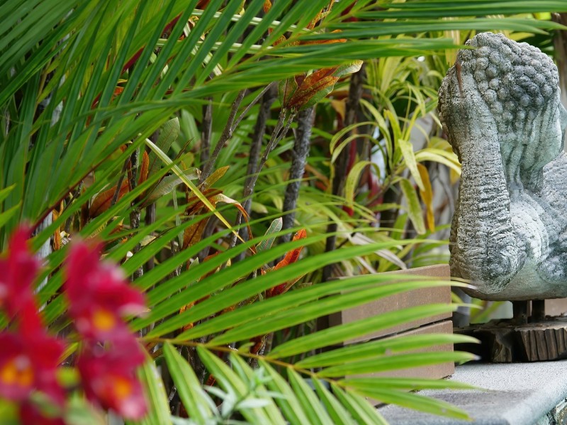 13 Lillian Road, Palm Cove QLD 4879