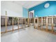 15 Mimosa Street, Holloways Beach QLD 4878
