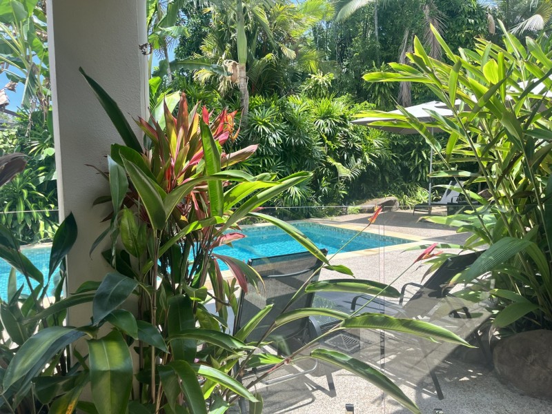 7 Talpa Close, Palm Cove QLD 4879