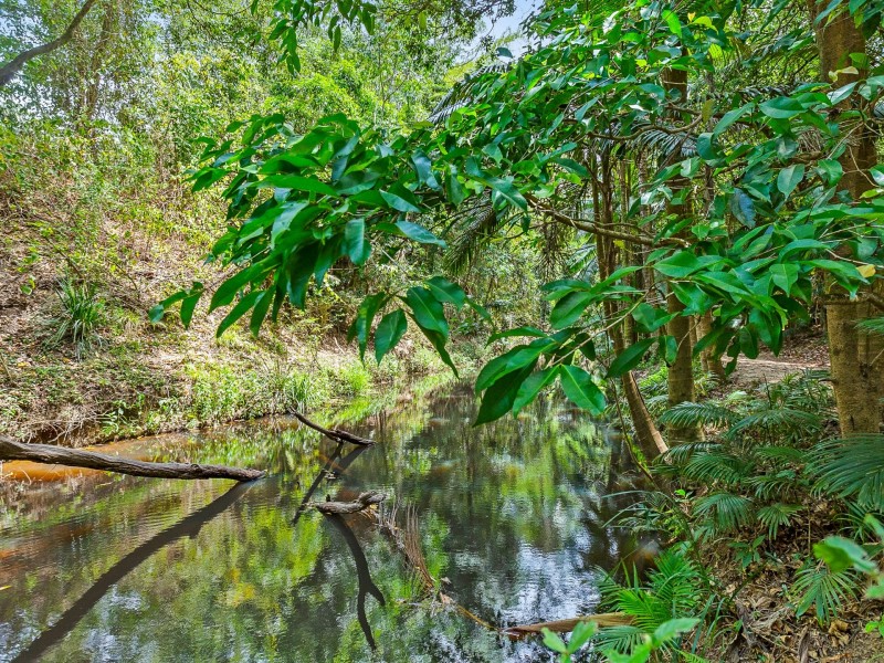 79 Oak Forest Road, Kuranda QLD 4881