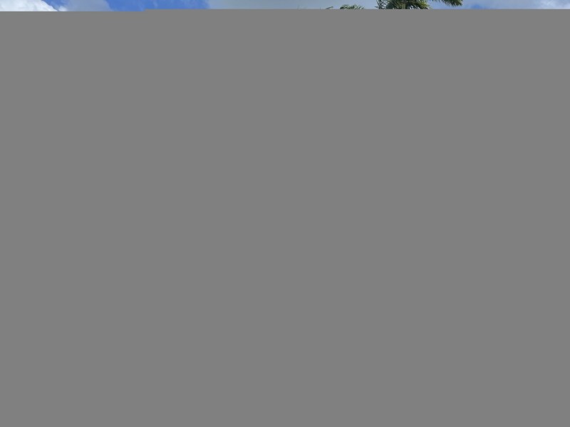 11 TEE STREET, Yorkeys Knob QLD 4878