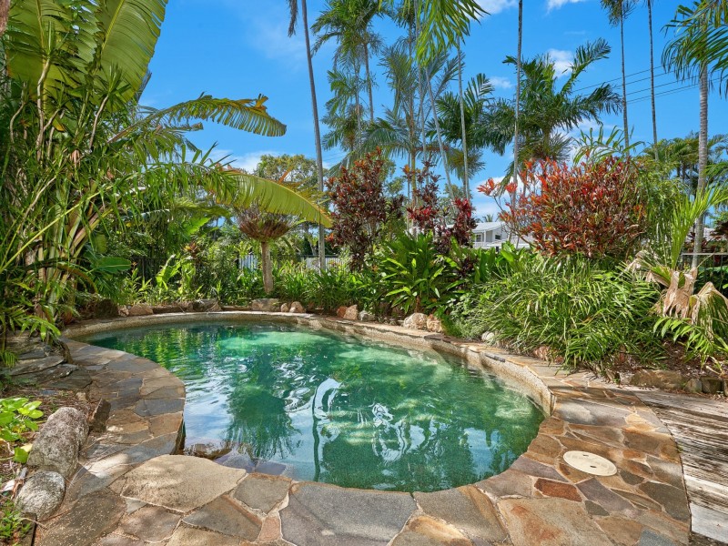 50 Terebra Street, Palm Cove QLD 4879