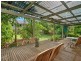 50 Terebra Street, Palm Cove QLD 4879