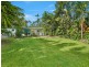 50 Terebra Street, Palm Cove QLD 4879