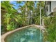 Apartment 1/25 Amphora Street, Palm Cove QLD 4879