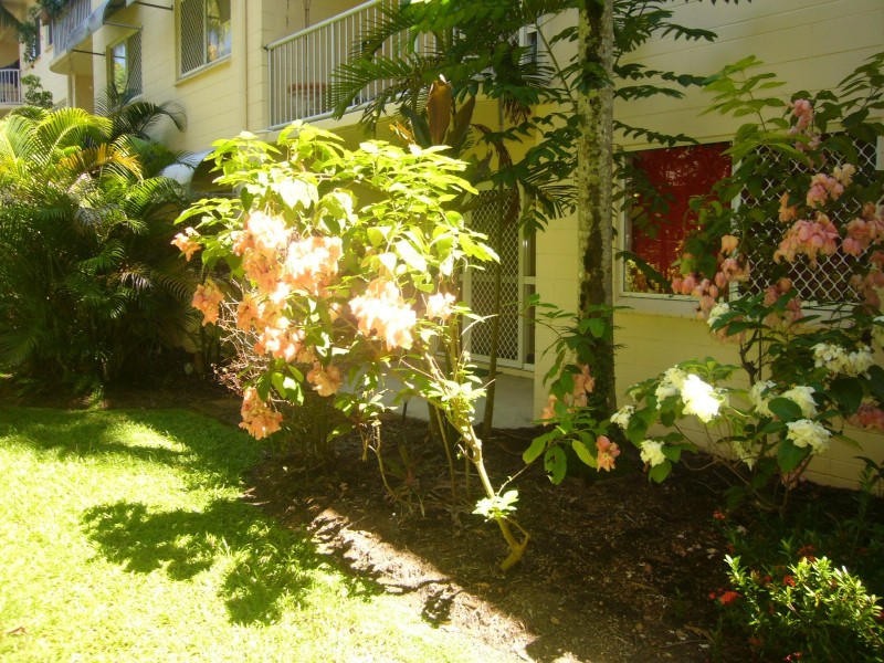 3/538 Varley Street, Yorkeys Knob QLD 4878