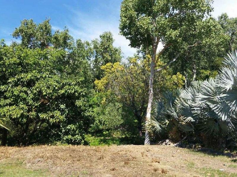 38 Savannah Street, Palm Cove QLD 4879