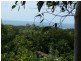 38 Savannah Street, Palm Cove QLD 4879