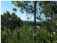 38 Savannah Street, Palm Cove QLD 4879