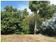 38 Savannah Street, Palm Cove QLD 4879