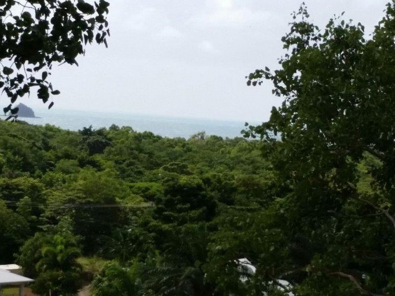 38 Savannah Street, Palm Cove QLD 4879