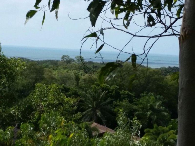 38 Savannah Street, Palm Cove QLD 4879