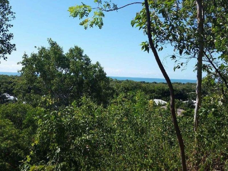 38 Savannah Street, Palm Cove QLD 4879