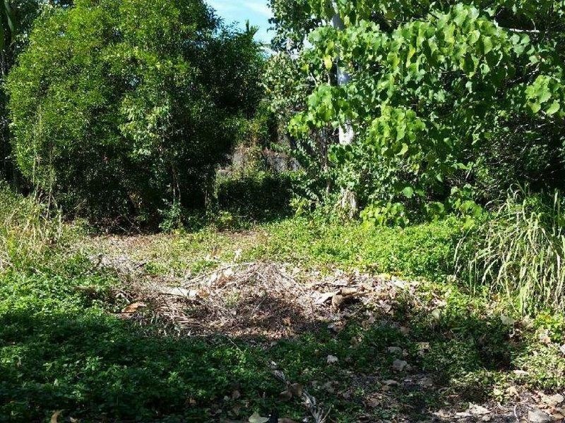 38 Savannah Street, Palm Cove QLD 4879