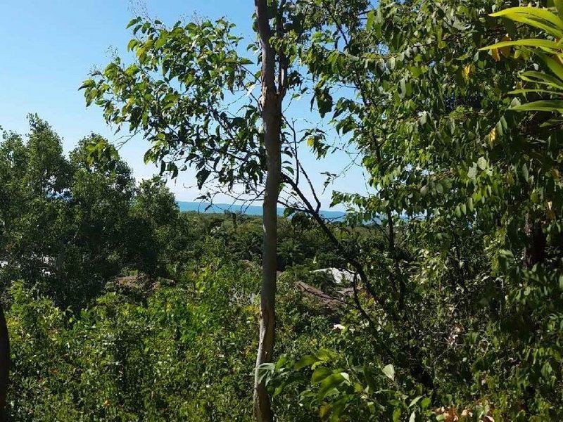 38 Savannah Street, Palm Cove QLD 4879