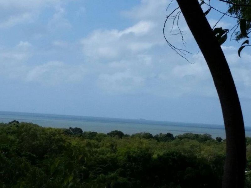 38 Savannah Street, Palm Cove QLD 4879