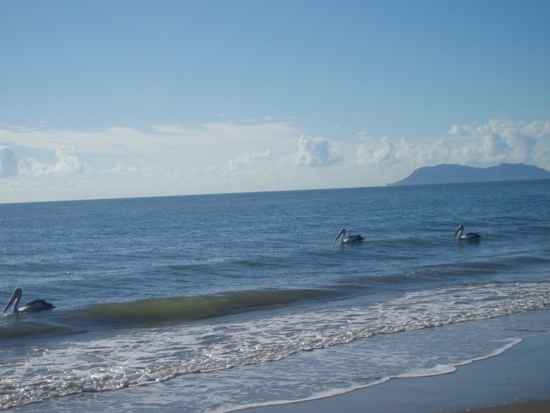 59 Sims Esplanade, Yorkeys Knob QLD 4878