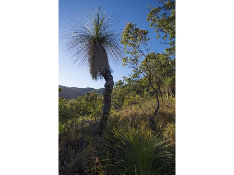 Lots 7 & 8 Emerald Falls Road, Mareeba QLD 4880