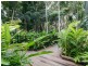 Apartment 3208/41 Williams Esplanade, Palm Cove QLD 4879