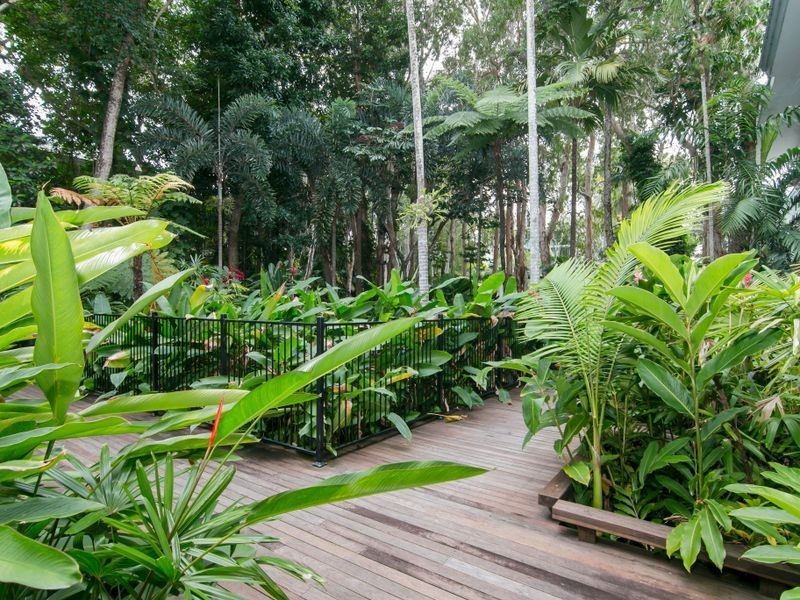 Apartment 3208/41 Williams Esplanade, Palm Cove QLD 4879