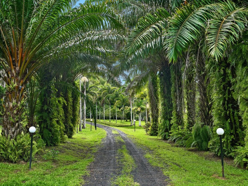 364 Ganyan Drive, Speewah QLD 4881