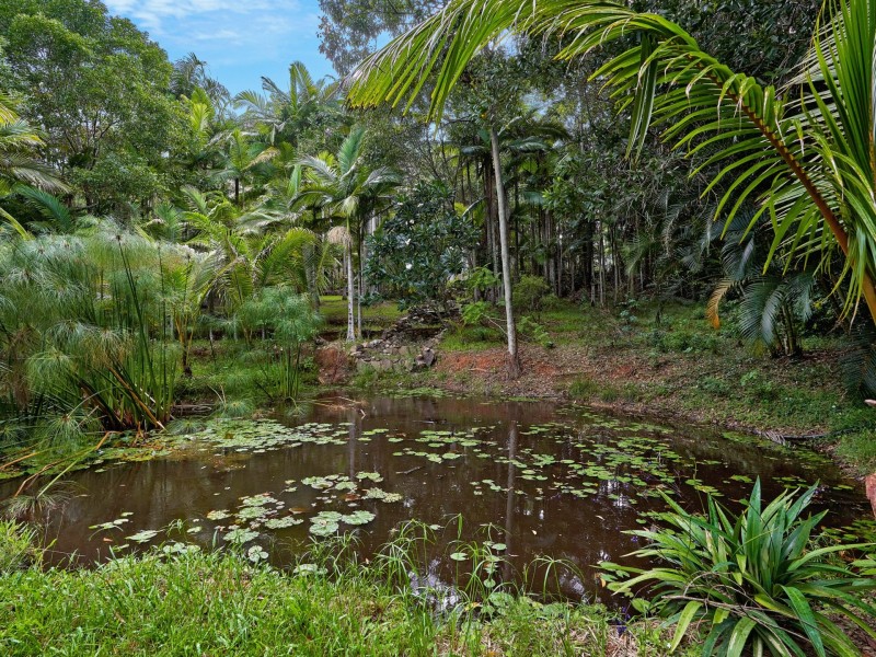 364 Ganyan Drive, Speewah QLD 4881