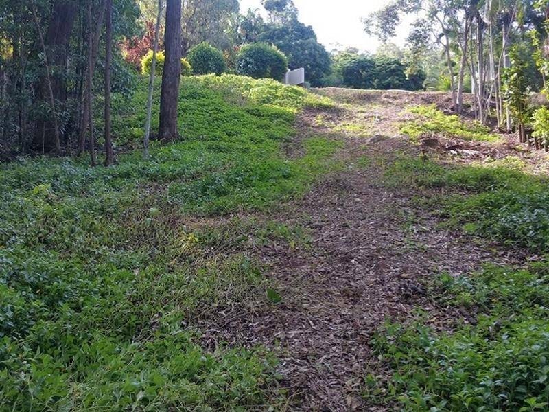 11 Darkin Close, Smithfield QLD 4878