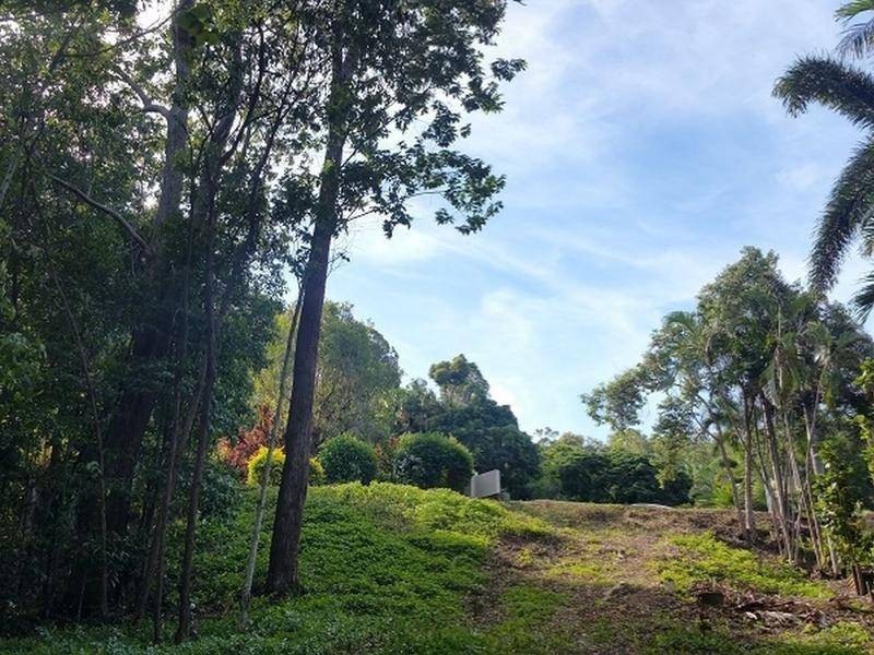 11 Darkin Close, Smithfield QLD 4878