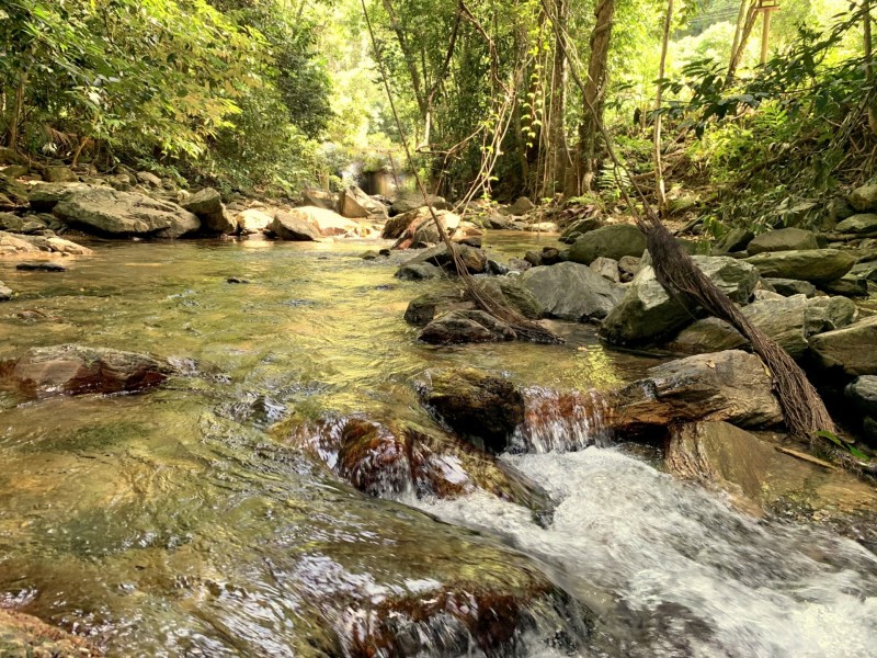 25-27 Cascades Drive, Redlynch QLD 4870