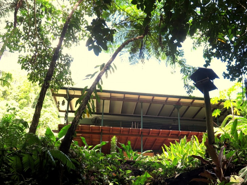 25-27 Cascades Drive, Redlynch QLD 4870