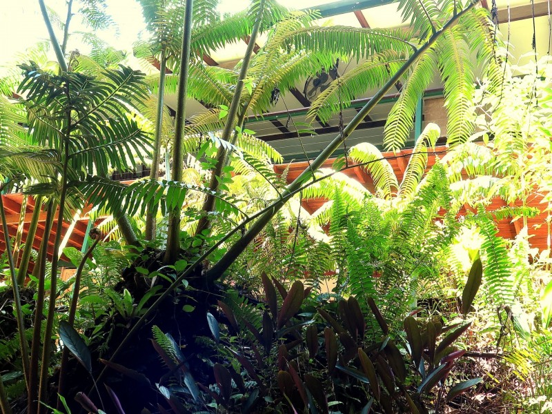 25-27 Cascades Drive, Redlynch QLD 4870