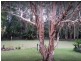 16 Nicolle Court, Mooloolah Valley QLD 4553