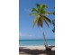 36 Hibiscus Lane, Holloways Beach QLD 4878