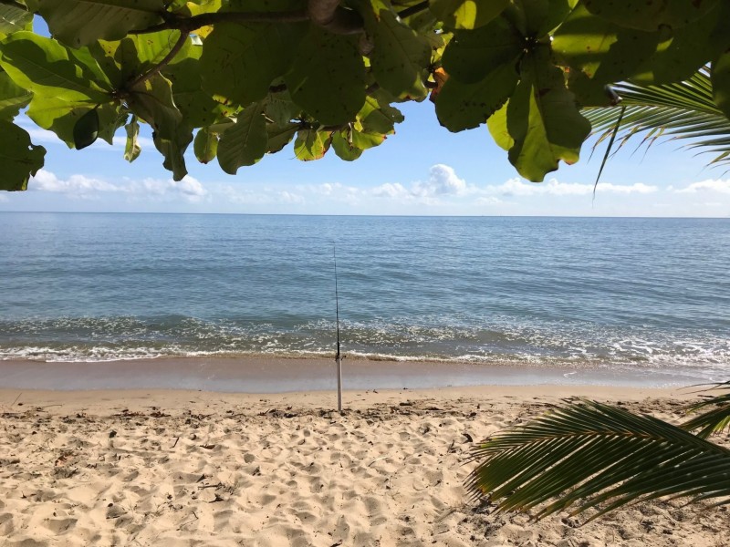 36 Hibiscus Lane, Holloways Beach QLD 4878