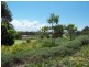 19 Allenby Street, North Lakes QLD 4509